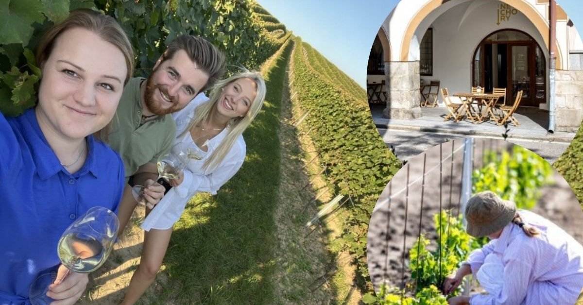 Mladý tým Vinařství POD Nechory Mladý tým Vinařství POD Nechory