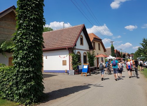 Sklepní kolonie ve Vlkoši Vlkoš