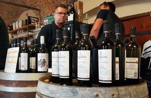 Mikrosvín sice prezentoval jen zlomek nabídky, i ten ale stál za to. Vína Mikrosvínu Mikulov