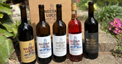 Zkuste štěstí v soutěži s mikrovinařstvím Nectar Lucis Zkuste štěstí v soutěži s mikrovinařstvím Nectar Lucis