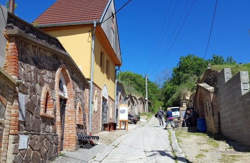 Ke Karlu Pilařovi se muselo sklepní uličkou popojít i trochu do kopce Bořetice - sklepní kolonie Zahraničí