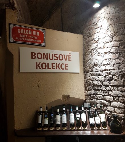Tradičně v závěru defilují i další vína mimo zlatou stovku. Při začátku nového ročníku to jsou vína se stříbrnou medailí. Doplňková kolekce Salonu vín