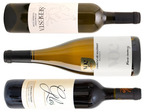 Cuvée ryzlink sylvánské Vinařství Šebesta Vracov, Tramín Jiří Holešínský, Zweigeltrebe Vinařství Glosovi Cuvée ryzlink sylvánské Vinařství Šebesta Vracov, Tramín Jiří Holešínský, Zweigeltrebe Vinařství Glosovi