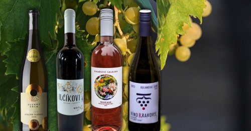 V Lahvotéce můžete nově ochutnat vína od čtyř menších vinařství V Lahvotéce můžete nově ochutnat vína od čtyř menších vinařství