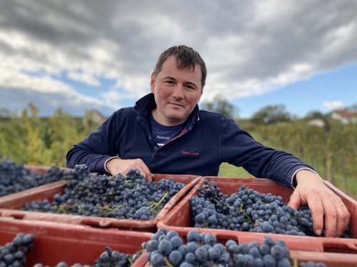 Robert Číž z vinařství Slunný vrch (foto: www.slunnyvrch.cz) vinobraní Slunný vrch