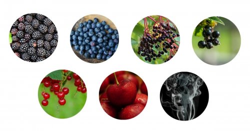 Aromata, se kterými se u vín z odrůdy Cabernet Cortis můžete setkat. Aromata, se kterými se u vín z odrůdy Cabernet Cortis můžete setkat.