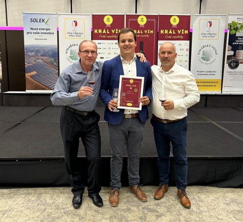 Bobulový Sauvignon 2023 získal zlatou medaili na Králi vín ČR. Dominik Labuda přebral ocenění na Králi vín ČR.