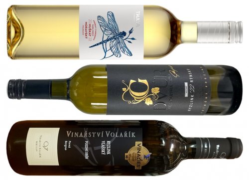Muškát moravský vinařství Thaya, Ryzlink rýnský Dvůr pod Starýma Horama a Ryzlink vlašský Vinařství Volařík Muškát moravský vinařství Thaya, Ryzlink rýnský Dvůr pod Starýma Horama a Ryzlink vlašský Vinařství Volařík