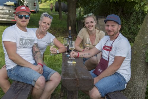 K dobré náladě při Mikulovských sklepech open přispějí vinaři nejen z Mikulova (foto: www.vinarimikulovska.cz) K dobré náladě při Mikulovských sklepech open přispějí vinaři nejen z Mikulova (foto: www.vinarimikulovska.cz)