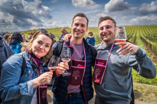 Vinaře můžete navštívit přímo ve vinicích v Čejkovicích (foto: www.vinozcejkovic.cz) Vinaře můžete navštívit přímo ve vinicích v Čejkovicích (foto: www.vinozcejkovic.cz)