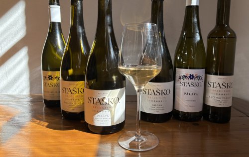 Pod značkou Staško. vinohrady/vinařství najdete všeobecně přístupnější vína. Lahve s víny Patrika Staška - Pod značkou Staško. vinohrady/vinařství
