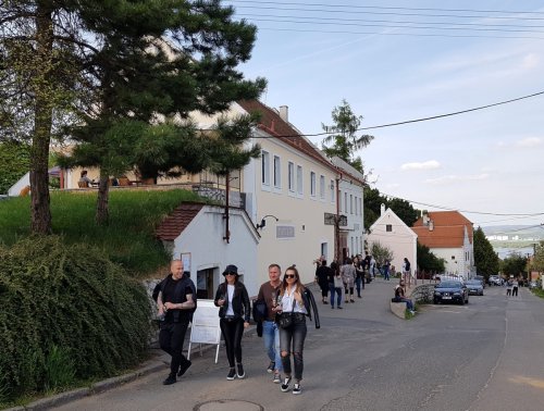 Vínomilci se při otevřených sklepech zaplní i Pavlov Vínomilci se při otevřených sklepech zaplní i Pavlov