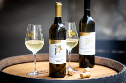Vínům Vinařství POD Nechory nechybí velikost a ambice. Vinařství POD Nechory - lahve a sklenice s vínem.
