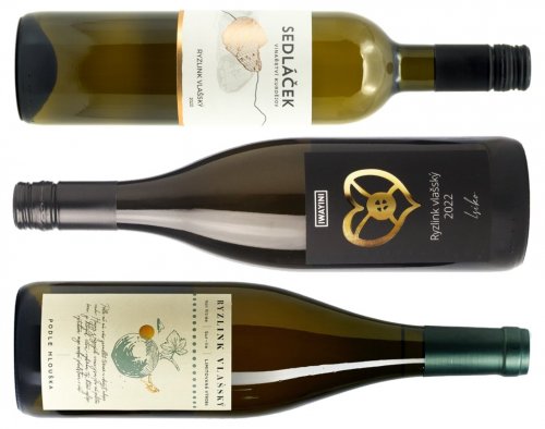 Ryzlinky vlašské vinařství Sedláček, Iwayini a Petra Hlouška Ryzlinky vlašské vinařství Sedláček, Iwayini a Petra Hlouška