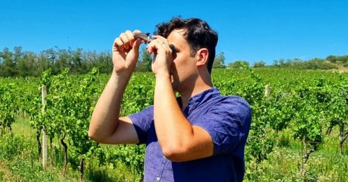 Vinařství Víno Perk - enolog Roman Popp Vinařství Víno Perk - enolog Roman Popp