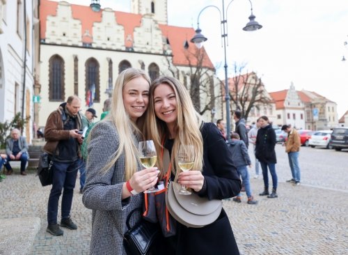 Do Tábora se sjedou vinaři Modrých hor (foto: www.festival-vina.cz) Do Tábora se sjedou vinaři Modrých hor (foto: www.festival-vina.cz)