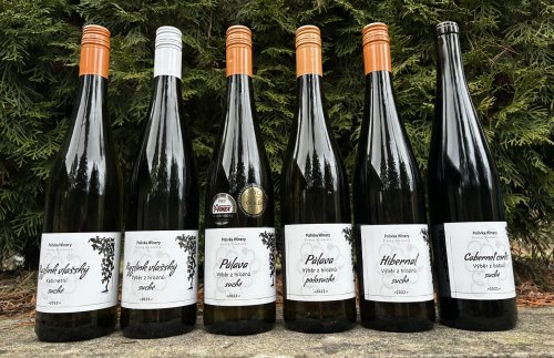 Aktuální nabídka vinařství stojí za prozkoumání. Aktuální nabídka vinařství stojí za prozkoumání.