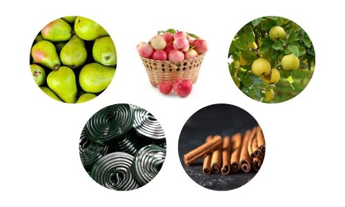 Příklady aromat, která můžete ve vínech z Malveriny najít. Příklady aromat odrůdy vín Malverina - jablka, hrušky, kdoule, skořice a lékořice.