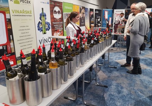 Nabídka vín byla vskutku bohatá pultová degustace