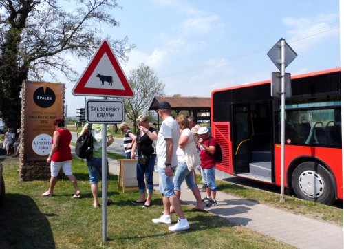 Centrum festivalu je Nový Šaldorf, odkud bude festivalová doprava rozvážet vínomilce do dalších obcí Centrum festivalu je Nový Šaldorf, odkud bude festivalová doprava rozvážet vínomilce do dalších obcí