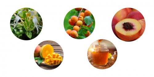 Aromata, která můžete ve vínech z odrůdy Viognier najít aromata