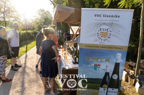 Na festivalu ochutnáte vína aktivních VOC spolků (foto: www.vocbzenec.cz) FESTIVAL VOC VÍN v Bzenci - návštěvníci stojí u stánku
