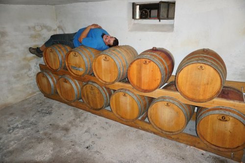 Červená vína Vinařství Jančura jsou oblíbená. Ve sklepě najdete 22 dřevěných sudů. Vinař Šimon Jančura leží na dřevěných sudech ve sklepě svého Vinařství Jančura.