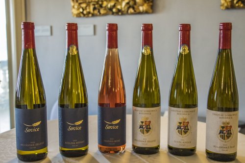 Etikety vinařství prošly zásadní obměnou Etikety vinařství prošly zásadní obměnou