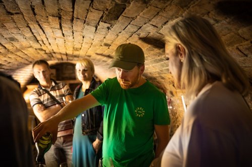 Michal Mikulenčák lahvuje jen ta vína, za kterými si stoprocentně stojí. Vinař Michal Mikulenčák rozlévá své víno hostům ve sklepě