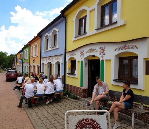 Ve sklepní kolonii Nechory má vinařství prezentační a ležácké sklepy Ve sklepní kolonii Nechory má vinařství prezentační a ležácké sklepy