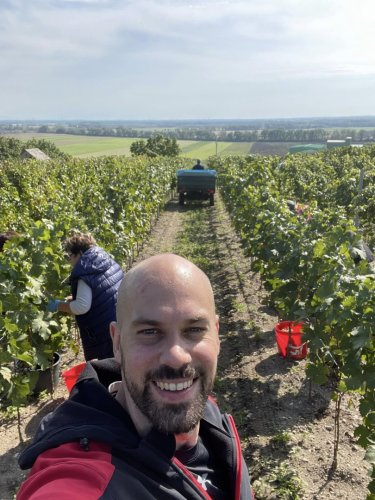 Vinař vinařství IWAYINI Martin Zůl Vinař vinařství IWAYINI Martin Zůl se fotí na vinici během vinobraní