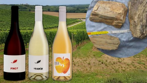 Vinařství Farma U Tří dubů má e-shop nově v Lahvotéce Vinařství Farma U Tří dubů má e-shop nově v Lahvotéce