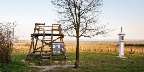 Na viniční trati Kraví hora vyrostla Špalkova vyhlídka (foto: www.spalek.bio) Na viniční trati Kraví hora vyrostla Špalkova vyhlídka (foto: www.spalek.bio)