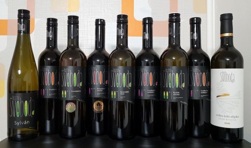 Rozverné etikety pasují k mladistvému vinařství Rozverné etikety pasují k mladistvému vinařství