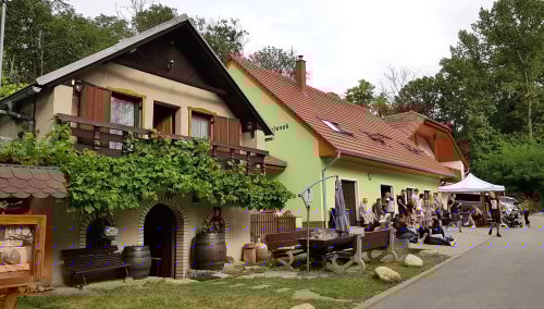 Bavory jsou jednou z obcí, kde se budou o víkendu hromadně otevírat sklepy Bavory jsou jednou z obcí, kde se budou o víkendu hromadně otevírat sklepy