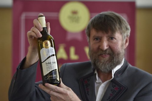 Ctirad Králík se svým šampionem (foto: kralvin.cz) Ctirad Králík se svým šampionem (foto: kralvin.cz)