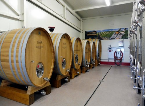 V produkci vinařství hrají čím dál důležitější roli dřevěné sudy