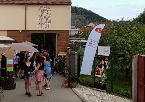 Jednou z připravených akcí je putování Za kounickou Frankovkou Jednou z připravených akcí je putování Za kounickou Frankovkou