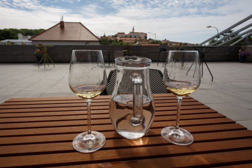 Degustace na terase vinařství Volařík s parádním výhledem