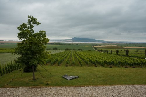 Výhled z vinařství Sonberk na stejnojmennou vinici a Pálavské vrchy