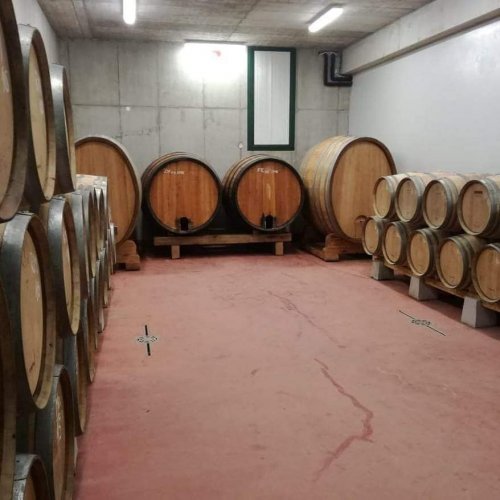 Vinařství značně rozšířilo vybavení dřevěnými sudy (foto: facebook @vinarstvibaraque)
