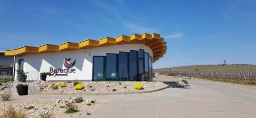 V Baraque Wine Gallery ve Velkých Pavlovicích se už nemohou dočkat, až opět přivítají vínomilce