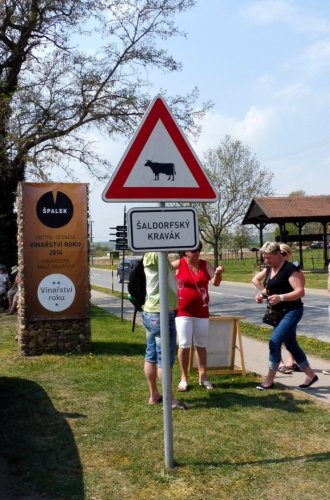 Vinařství sídlí přímo uprostřed Šaldorfu u značky Šaldorfského kraváku naproti lisu. Upozorní vás na něj i reklamní banner.
