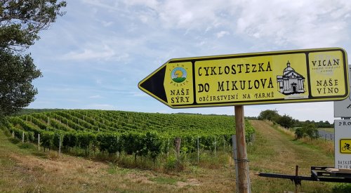 Od vinohradů u Mušlova vás cyklostezka dovede přes Farmu Pálava až do Mikulova
