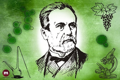 Louis Pasteur objasnil princip alkoholového kvašení i to, odkud se berou kvasinky, které kvasí hroznový mošt. Ilustrace © MojeLahve.cz Louis Pasteur objasnil princip alkoholového kvašení i to, odkud se berou kvasinky, které kvasí hroznový mošt. Ilustrace © MojeLahve.cz