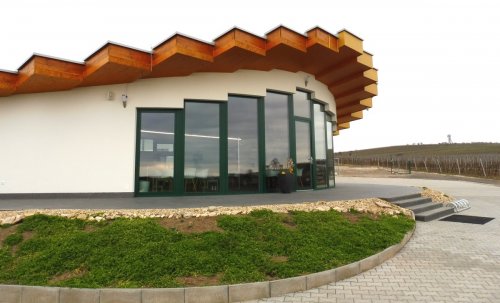 Pro návštěvníky se vinná galerie pod Slunečnou otevře na závěr března