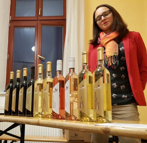 Degustovala se vína všech tří řad vinařství, ta s názvem "Punk" až v závěru jako překvapení