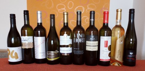 Vína srovnávací degustace Rulandského šedého Vína srovnávací degustace Rulandského šedého