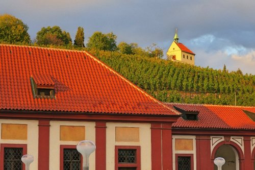 Vinice Sv. Kláry Vinice Sv. Kláry