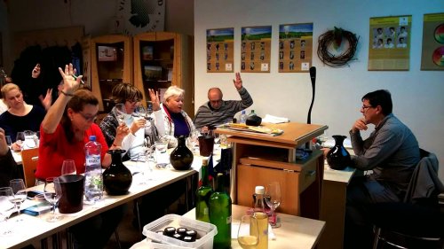 Vinařská akademie IV. - žáci sedí a hlásí se při vyučování Vinařská akademie IV.